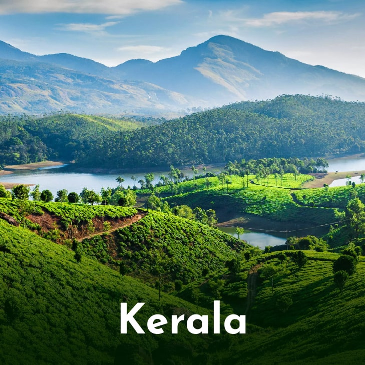 Kerala - Misty Mountains 