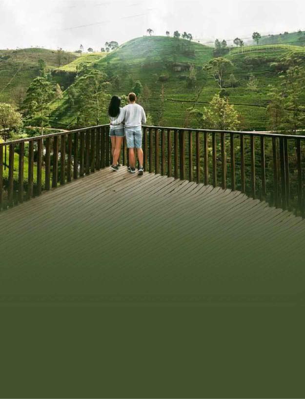 Slide 383